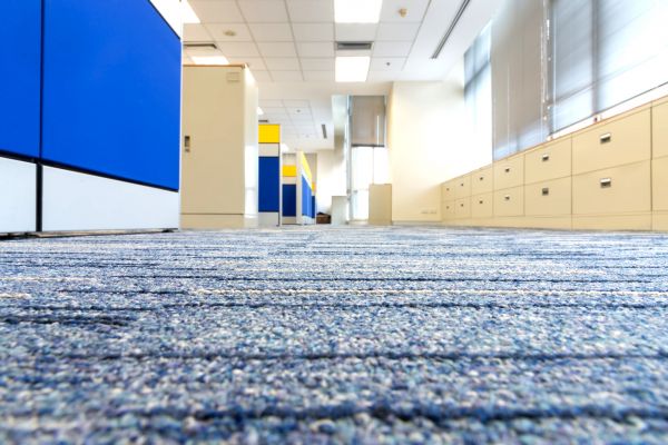 Business Carpet Cleaning in Oakland