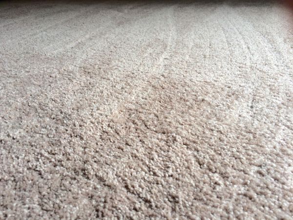 Plush Carpet Installation in Oakland